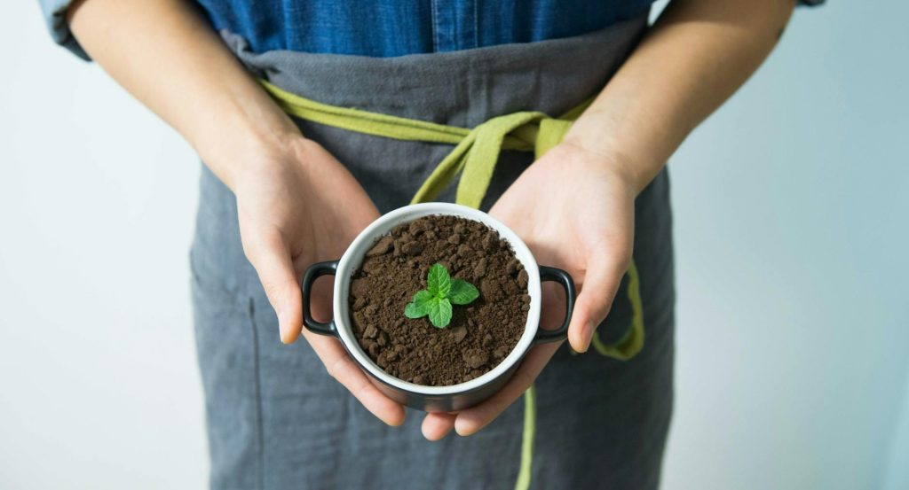 person holding cup with green plant