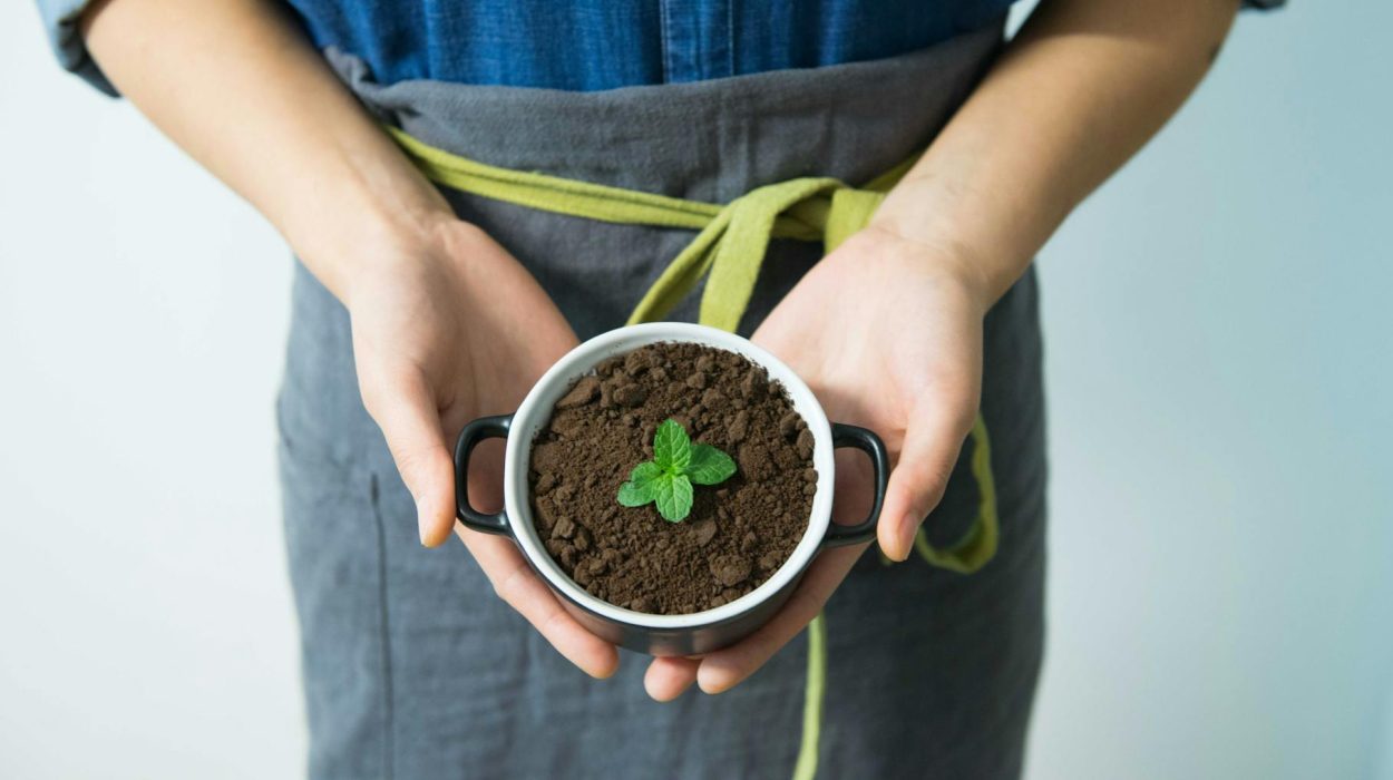 person holding cup with green plant
